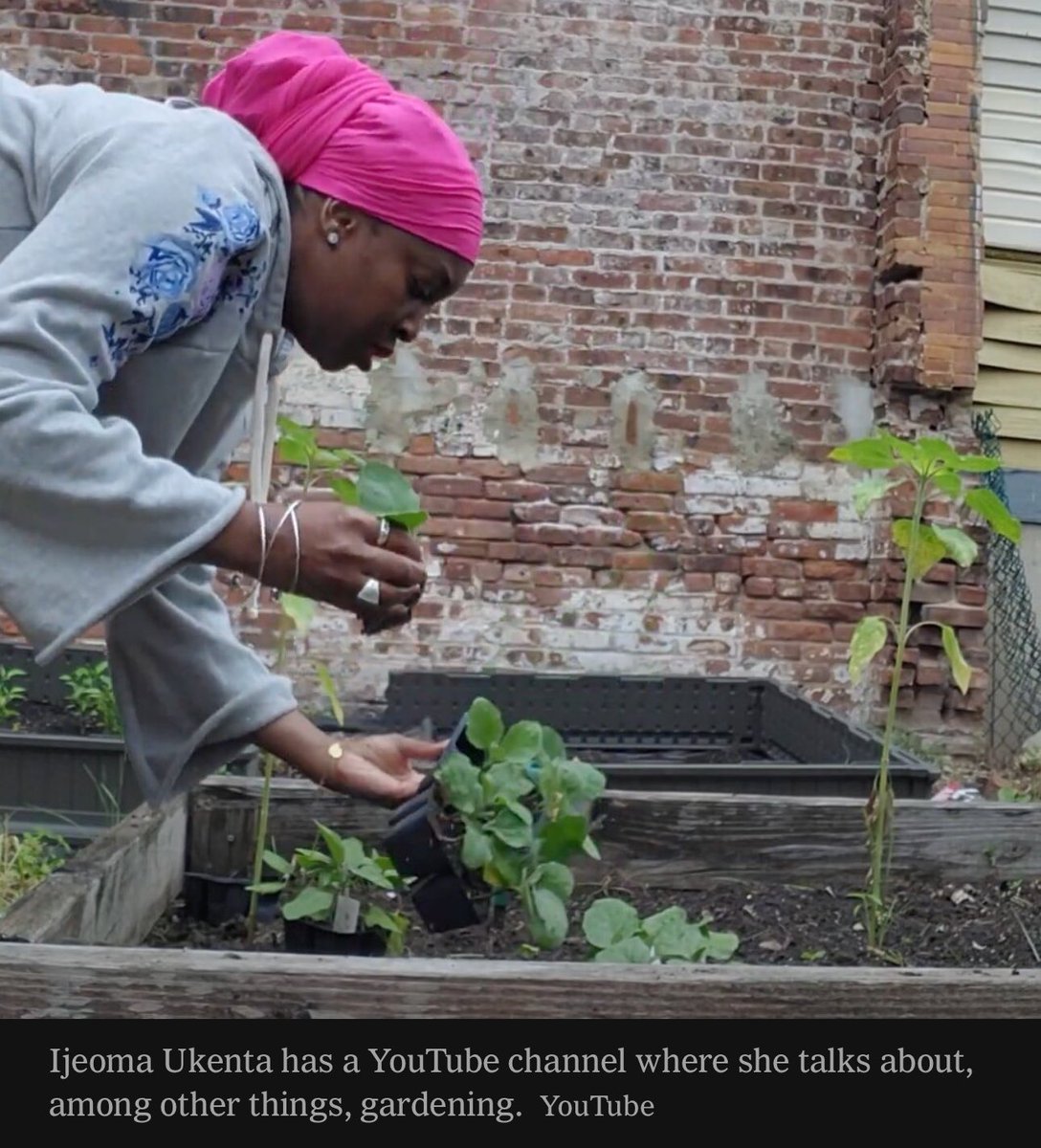 chris evans tweet media