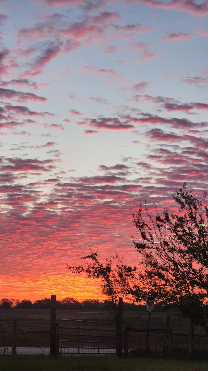 Cicero's Library tweet media