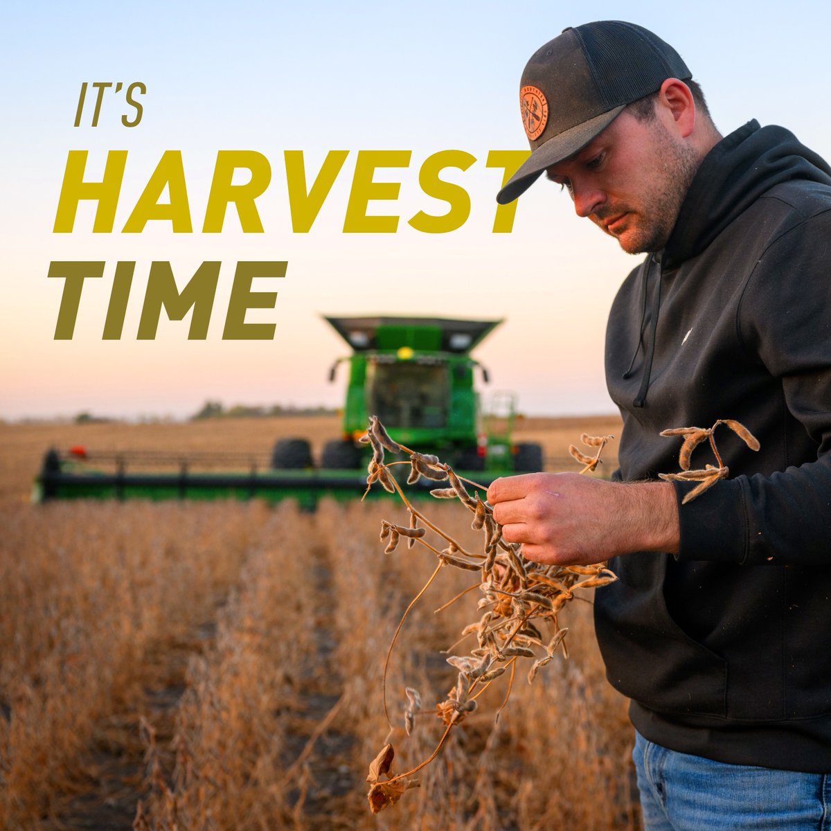 Field to yield. That’s what harvest season is all about. Hats off to our @ussoy farmers hard at work amid #harvest2023. 🚜 Wishing you a safe and productive harvest.