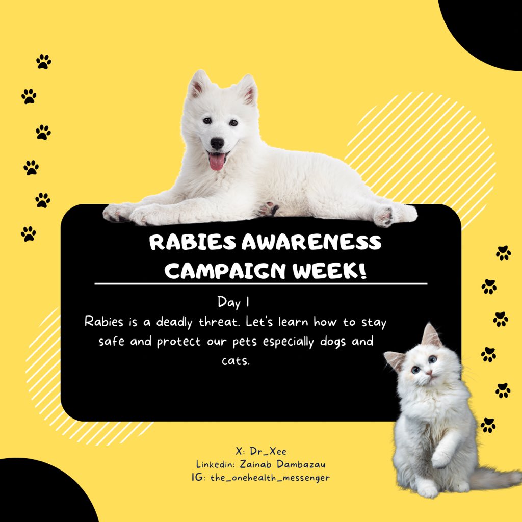 Dr_Xee's tweet photo. Join our Rabies Awareness Week!
Many are unaware of the dangers posed by rabies.
Let's spread knowledge and protect our community.
#RabiesAwarenessWeek #theonehealthmessenger https://t.co/T6Jy1ewti9