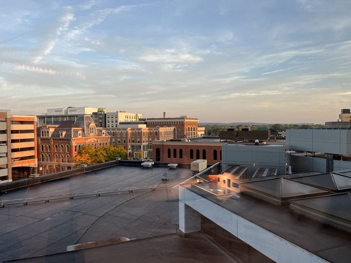 Dr Megan Rúa tweet media