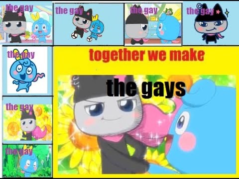 THE GAY