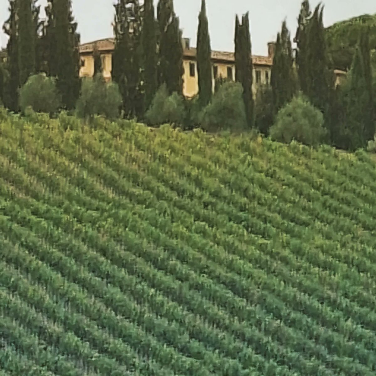 bernie129's tweet photo. Greetings from the Tuscan Hills.
Chianti country is everything I thought it would be. #Italy #holidays https://t.co/zfj6JKpbgY