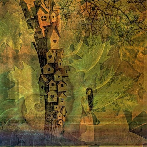 #BienvenidoOtoño  🍁