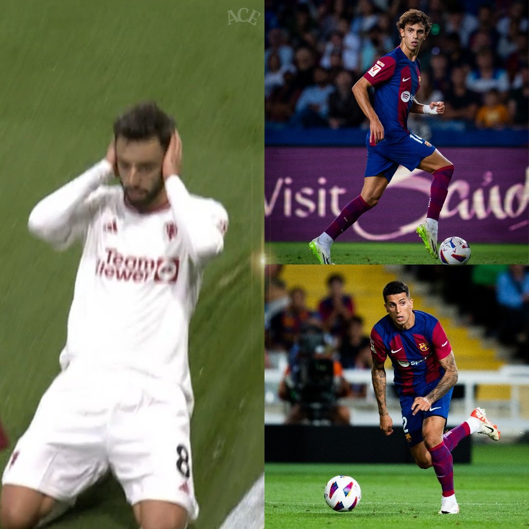 Bean 🏴‍☠️ (Magnum Opus) @benl0505 - Twitter Profile | Sotwe