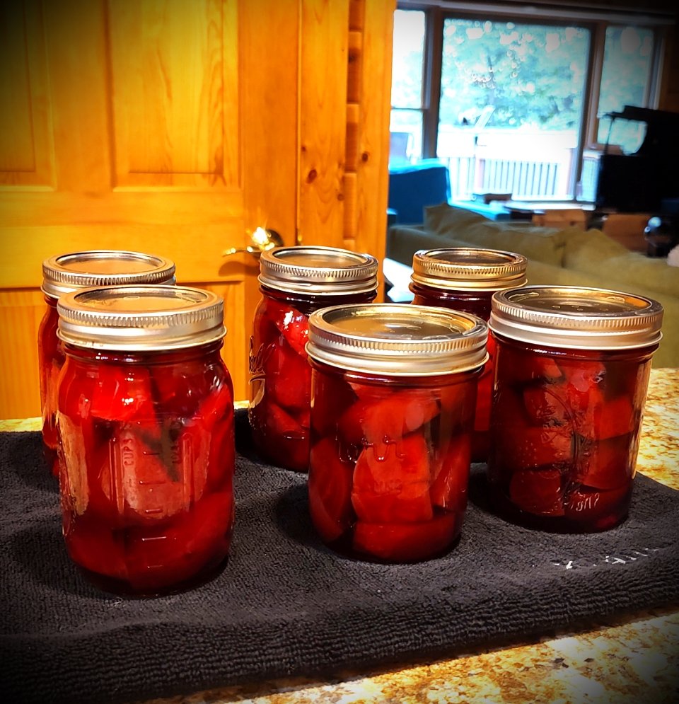 I'm six pints richer than I was this morning. Organic beets. #HomeCanning #PressureCanning