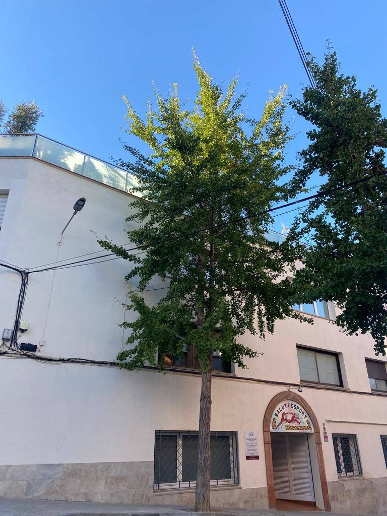 tradopcamfic's tweet photo. Avui ens hem trobat per treballar i ultimar detalls pels tallers que durem a terme el @congresCAMFiC 🚨 👁📢 🔉🤡 el que hem preparat No us ho podeu perdre 😅 Us necessitem 😊 De ben segur gaudirem i aprendrem plegats #estenemponts https://t.co/OQQNjx4xS3