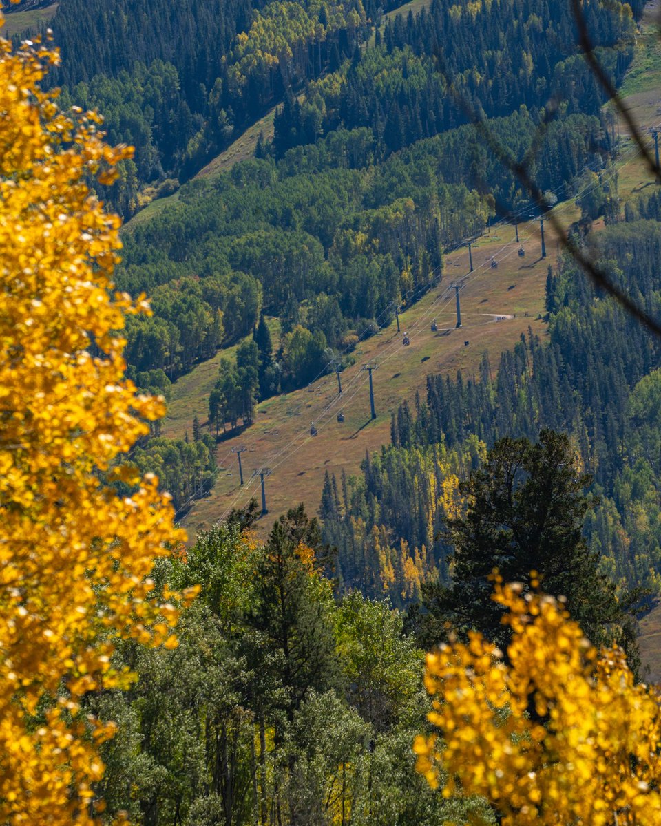 vailmtn's tweet photo. Happy first day of Fall! 🍂 https://t.co/ZPwvLu80VF
