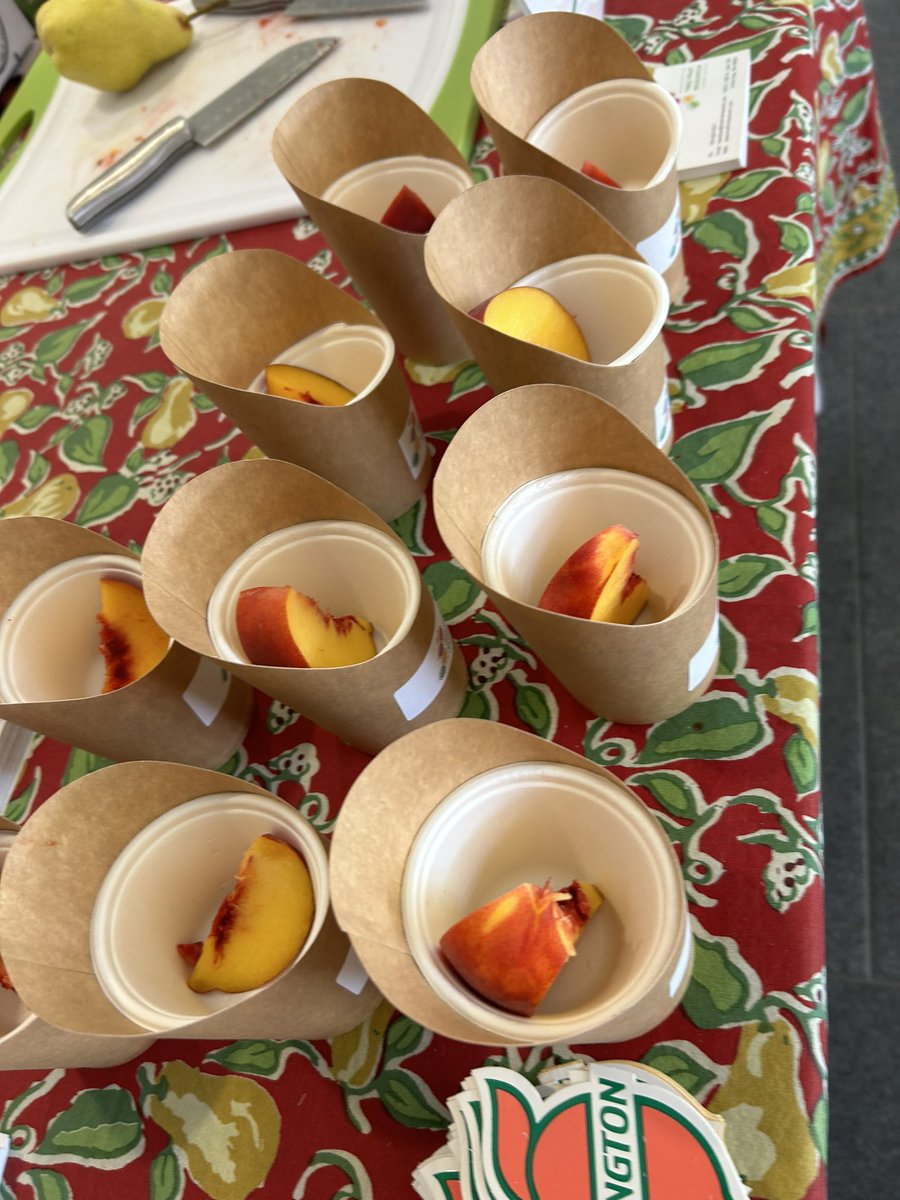 ChrisMulick's tweet photo. Got the munchies on a game day? We’ll feed you for free, no questions asked. Stop by Vogel Hall now for a #TasteOfWashington. Free beef sliders, French fries, peaches, pears, apples and more! Thank you to our partners! @WSDAgov #GoCougs https://t.co/3rtvrHC6Mw
