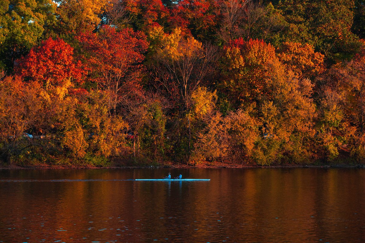 PhiladelphiaGov's tweet photo. Happy First Day of Fall, Philly!🍂 https://t.co/vCbzmtF3eb