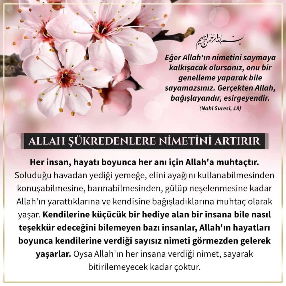 tamara313tamara's tweet photo. Cristiano Ronaldo Arda Turan Arda Güler Recep Tayyip Erdoğan Puma Lgbt Soykırım Haram Club Brugge Amartey #Deprep Rıza Kayaalp Muhammed Müslüman Rahmi Koç Gökçek Putin Rusya Mason iPhone Togg Elhamdülillah Adidas Bentley Caner Ertekin Yavuz Ağıralioğlu Bağdat Caddesi'nde https://t.co/Fd9QI9MzLf