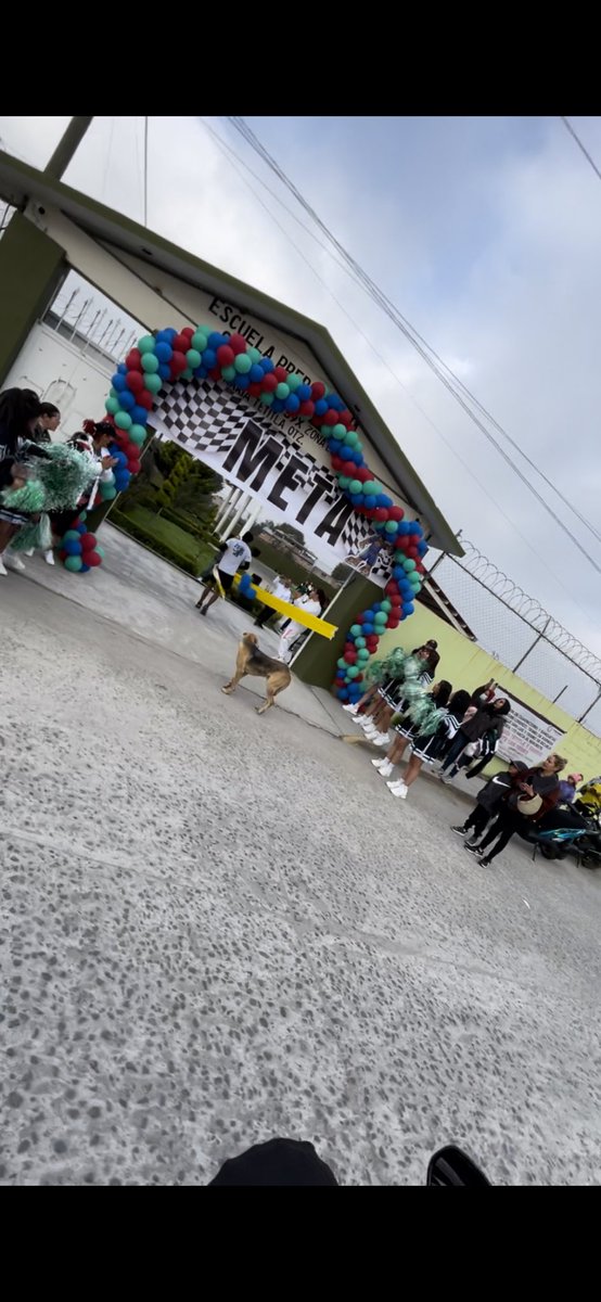 173Preparatoria's tweet photo. !SE LOGRÓ! 5k en un tiempo de 14 min! Con gran participación de nuestra comunidad escolar llevamos a cabo Carrera Atlética del 20 aniversario de la EPO 173 @supervision15bg @HectorUlisesCG1 @hectorhesilva https://t.co/YCVaGF5oNJ