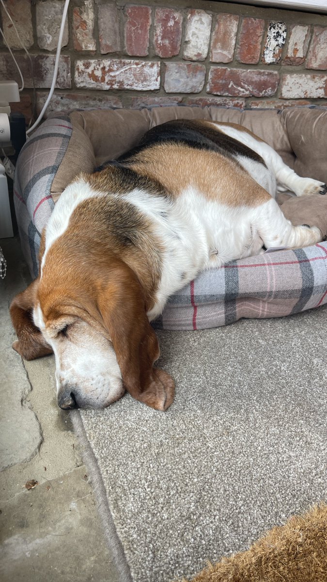 Phil Sledge tweet media