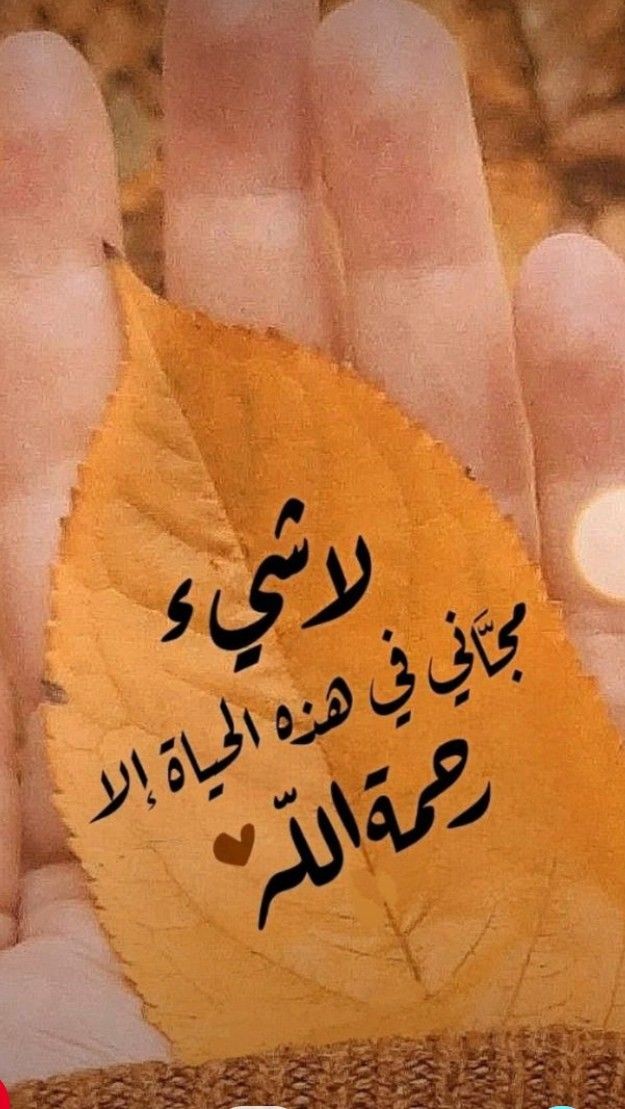 أعتقد أن نصف تربية الإنسان هي ذاتية...؟
من القراءة...
من تأمل ما يحدُث مع الآخرين
من المرور بأمور الدُنيا المختلفه
لا يمكن للعائلة أن تصنع
إنساناً كاملاً...؟
دون أن يشارك هو في ذلك .