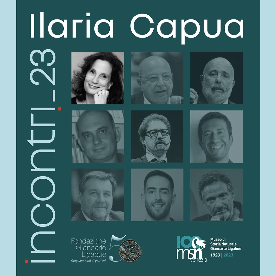 MSN Venezia tweet media