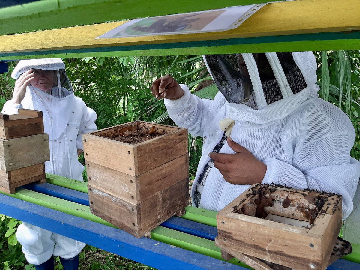 MisionONUCol's tweet photo. En los Montes de María, en Colosó #Sucre, visitamos el proyecto de apicultura Asoagromon, emprendido por firmantes de paz y víctimas. Iniciativa apoyada por @WeEffectLA con quienes dialogamos sobre oportunidades para la producción y comercialización de estos productos de la paz. https://t.co/EyBSxC2EYH