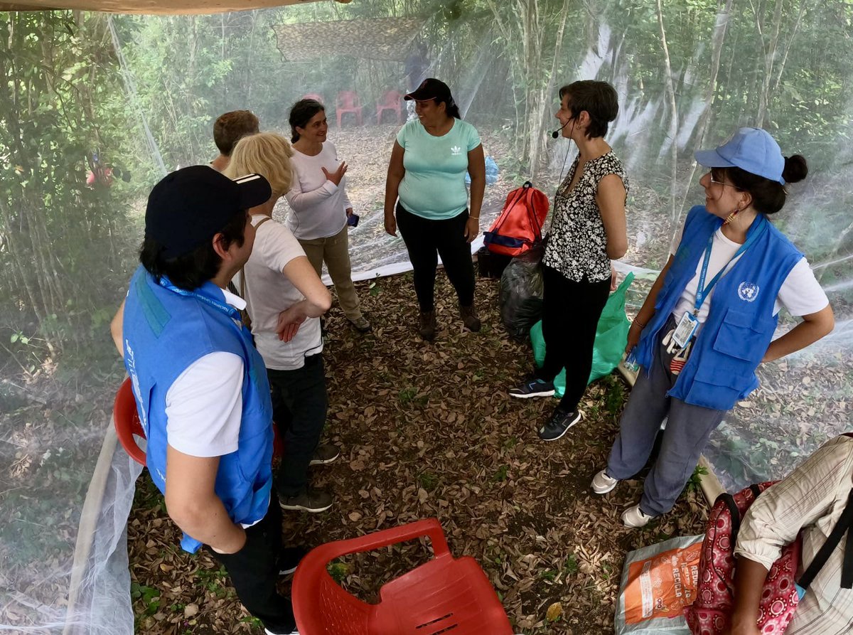 MisionONUCol's tweet photo. En los Montes de María, en Colosó #Sucre, visitamos el proyecto de apicultura Asoagromon, emprendido por firmantes de paz y víctimas. Iniciativa apoyada por @WeEffectLA con quienes dialogamos sobre oportunidades para la producción y comercialización de estos productos de la paz. https://t.co/EyBSxC2EYH