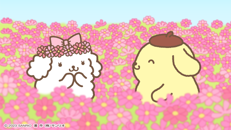 ポムポムプリン【公式】 on X: 