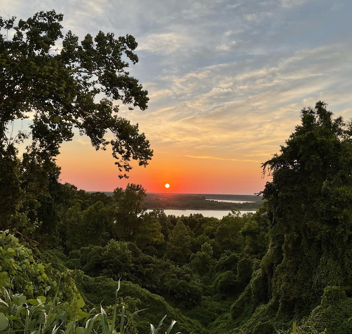 visitnatchez's tweet photo. “Life starts all over again when it gets crisp in the fall.”
― F. Scott Fitzgerald

🍂Can you feel that first day of fall excitement?

📸: cindybrinks224  #VisitNatchez #FirstdayofFall #sunset #FallSunset #NatchezSunset #NatchezMS https://t.co/Ylx2s0TGMF