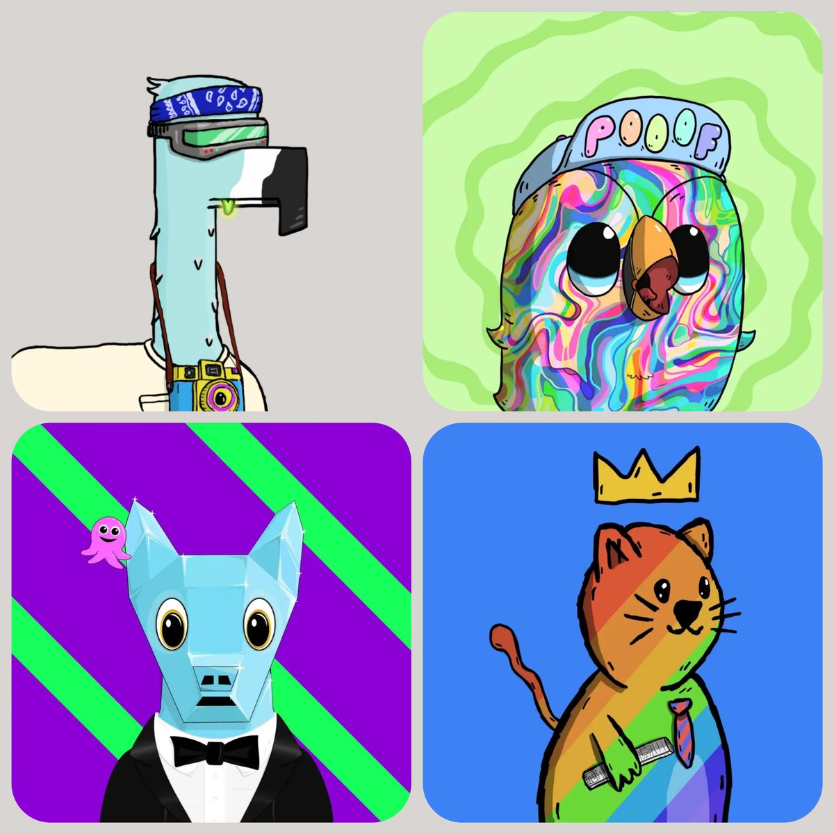 Alan 🔜 Orlando tweet media