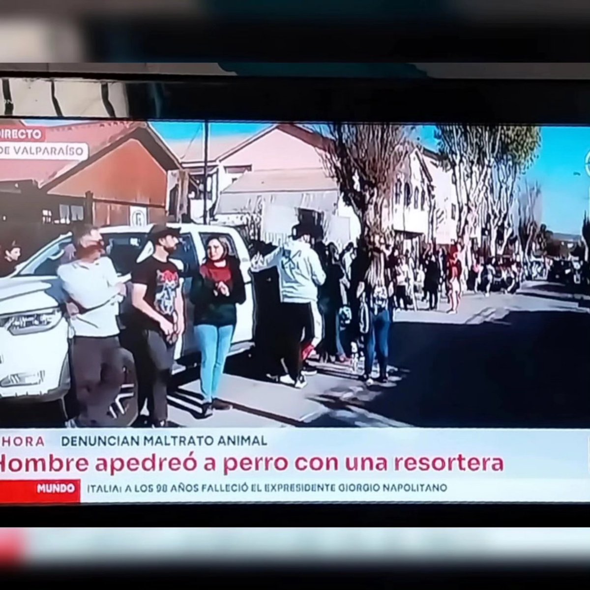 Kristian_Mella's tweet photo. TODO CHILE!

A esta hora, todo Chile, de una u otra forma, se encuentra repudiando el cobarde acto de maltratador en contra de un perrito en Villa Alemana con arma considerada la más antigua del mundo y una de las más peligrosas inventadas por el ser humano, la Resortera. https://t.co/Gw7OmY5LqI