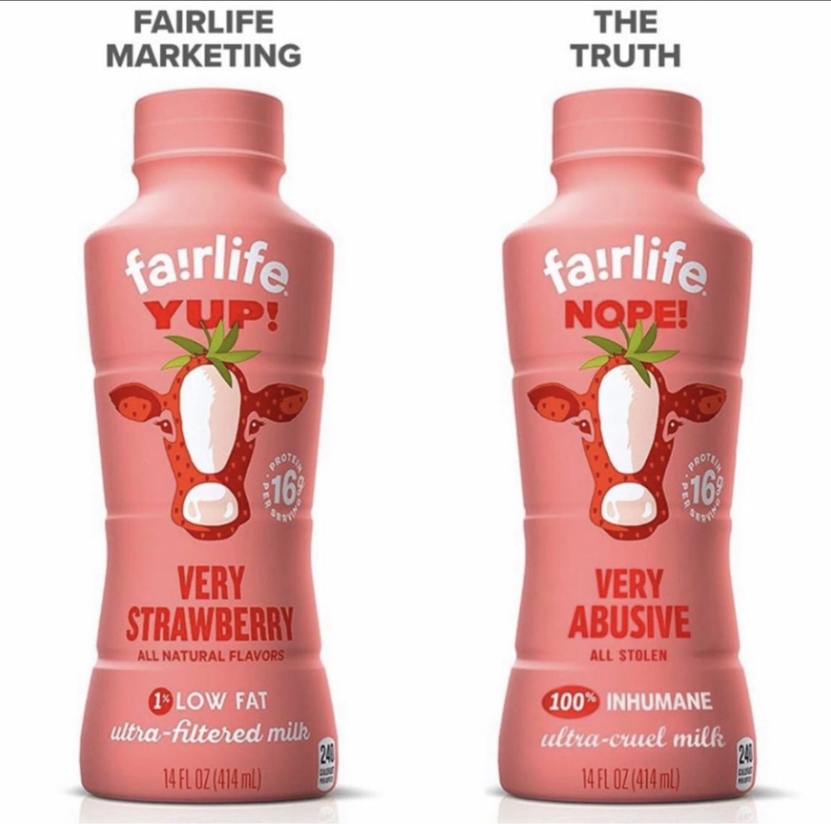 Fairlife’s #dairy…what their ‘transparent’ labelling SHOULD tell it's consumers. Graphics @oneprotest #AdamSugalski #truth #truthcomesout  #dairysdirtysecret #endtheabuse #windyridgedairy #fairlife #unfairlife  #dairyisscary #boycottdairy #animalrecoverymission #consumerpower