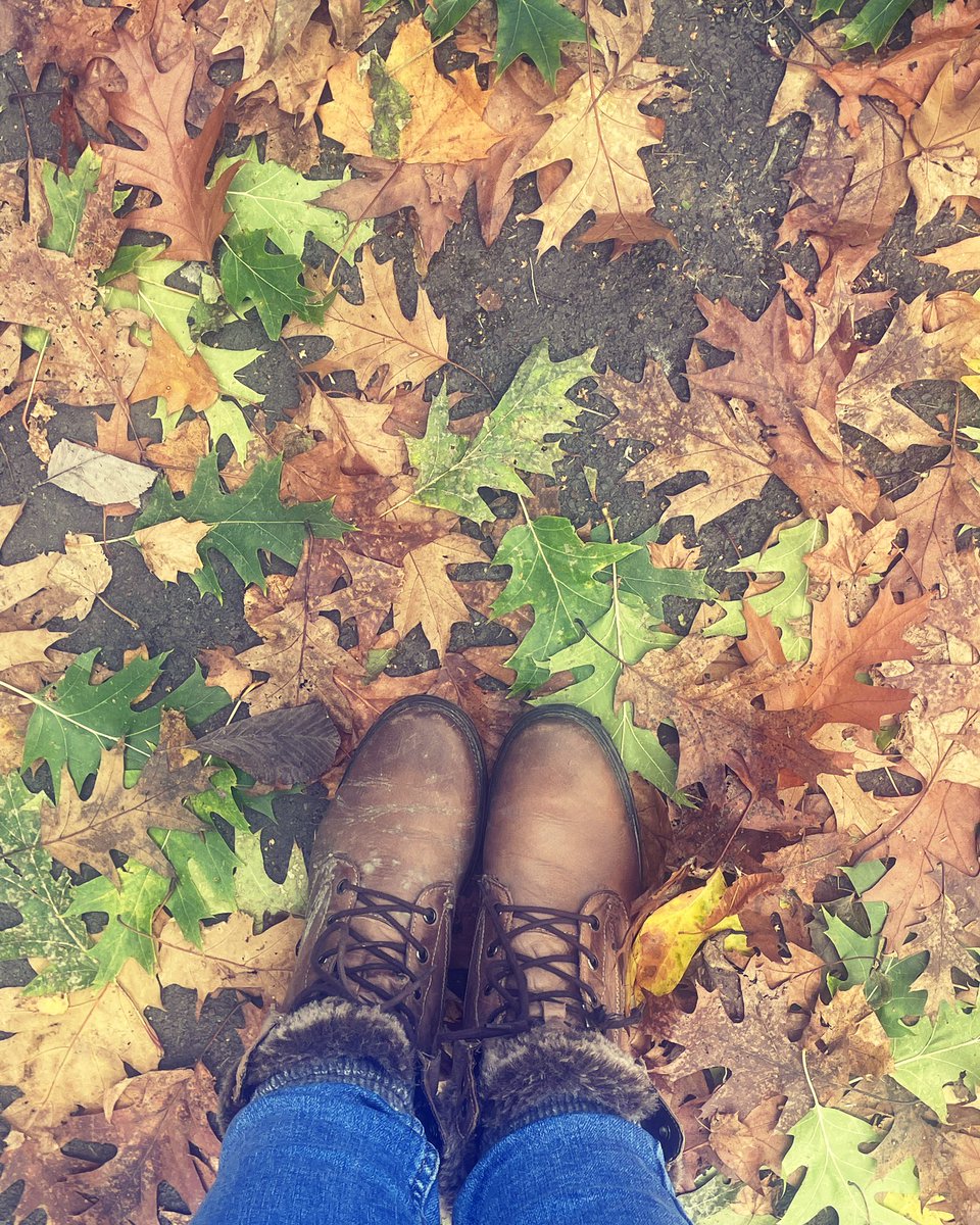 MrsLPlant's tweet photo. Autumn…my absolute favourite season!🍂🍁🪵🧡 https://t.co/uoKe5FucdI