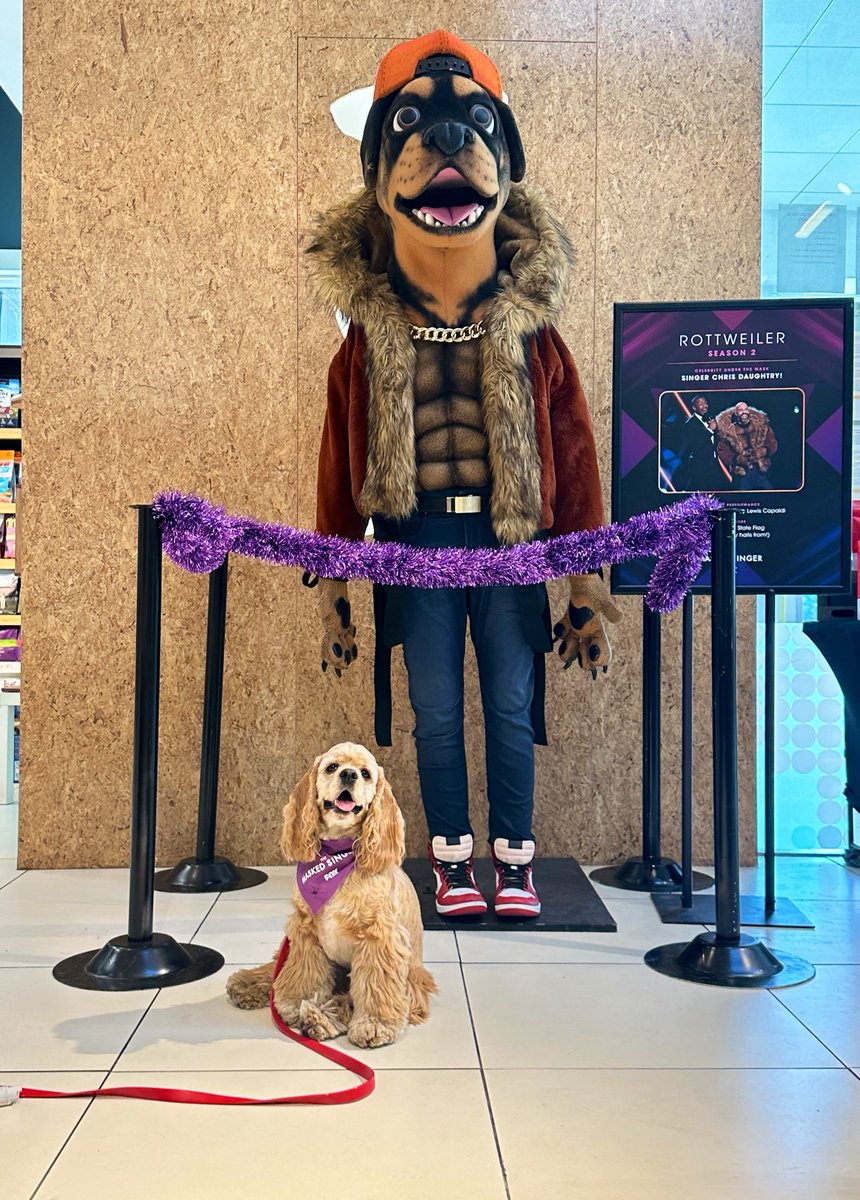 Raising the ruff with #TheMaskedSinger and @HealthySpot 💜🐾