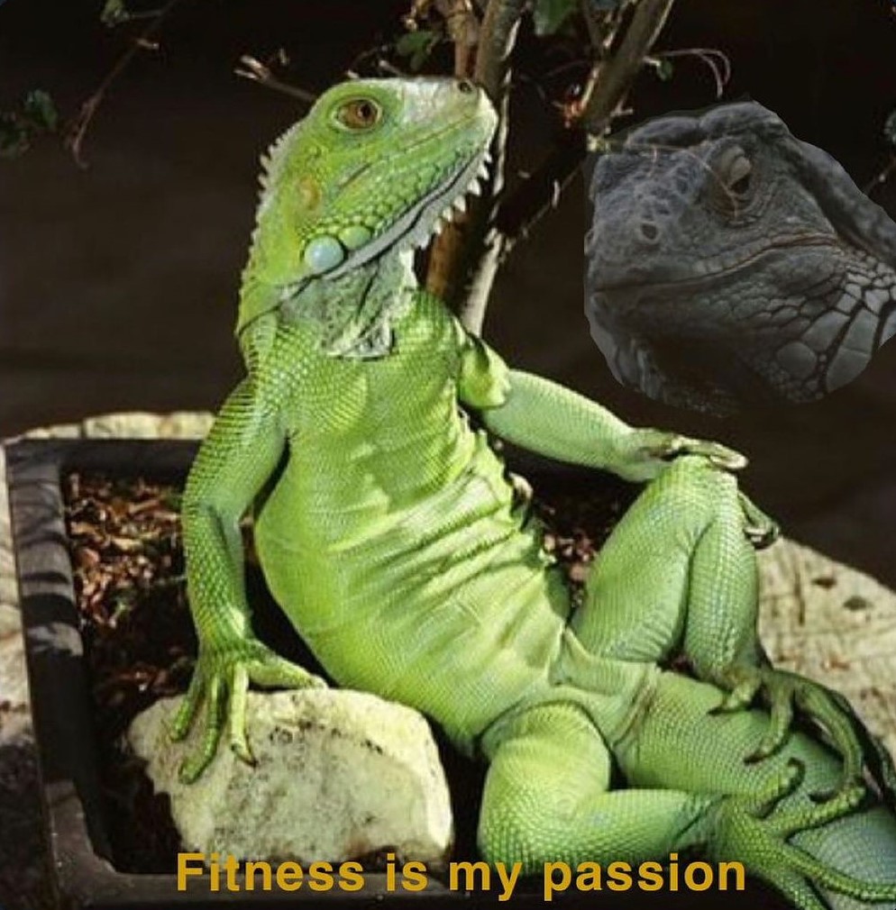 GeniusPothead's tweet image. When I hike a mountain for the sole purpose of smoking weed at the top of it