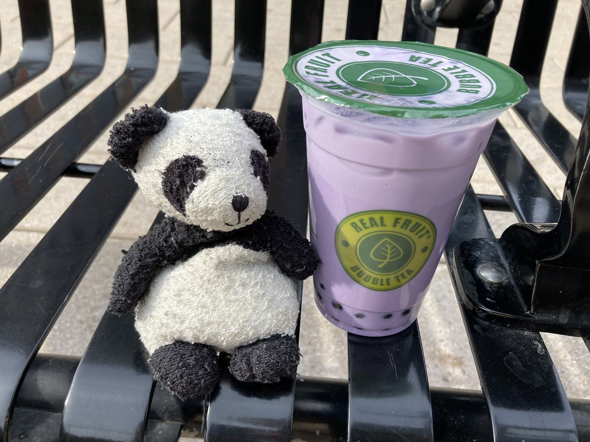 Adventure_Gauss's tweet photo. I ran errands with my human today because I am a #helpfulPanda One of the last stops was for bubble tea. #bubbleTea https://t.co/GjjOVM2jvb