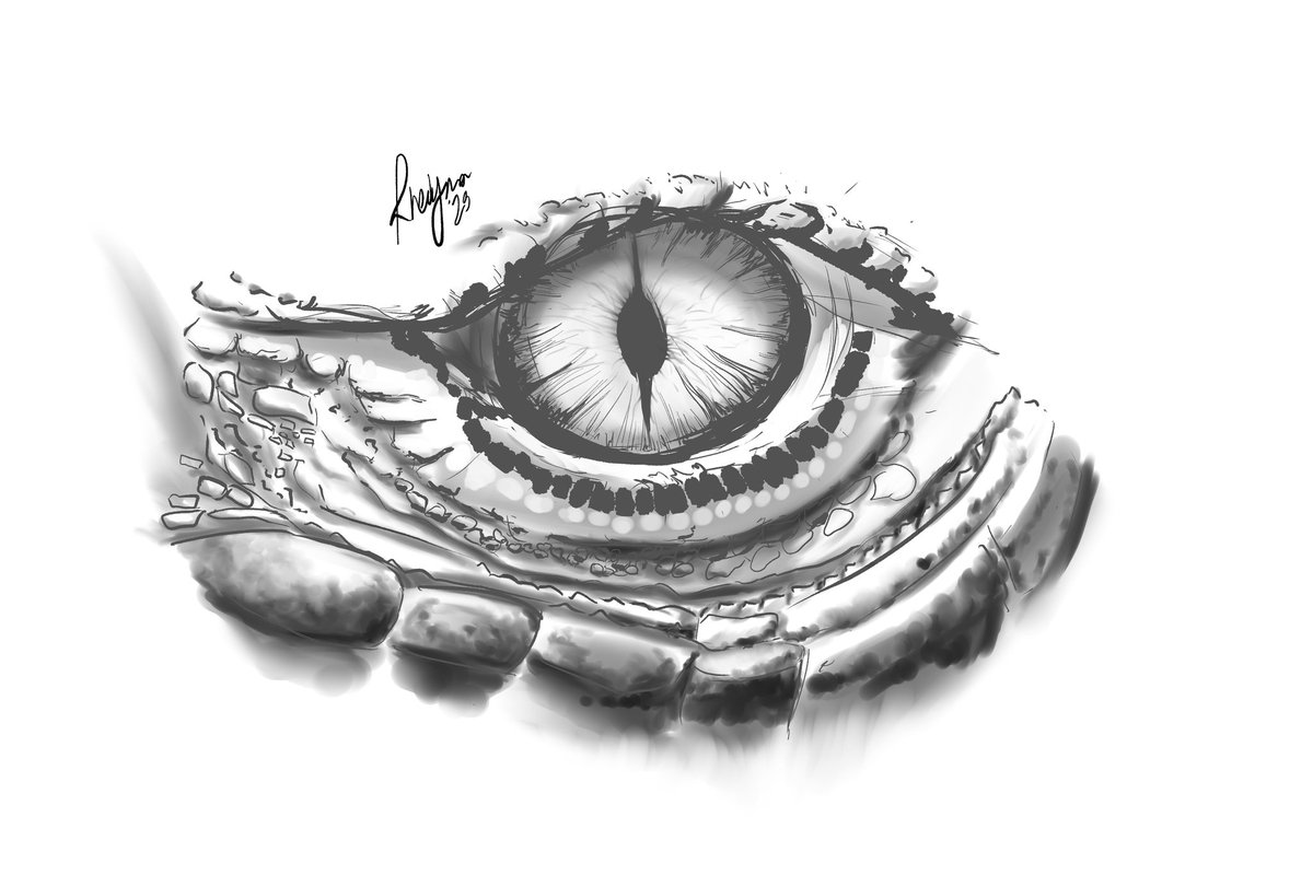 Just a work in progress I did on my stream -- wanted to do an eye study  ♡ 
#eye #study #anatomystudy #eyestudy #art #artstudy #digitalart #digitalillustration #illustration #blackandwhite #sketch #dragon #dragoneye #dnd #monster #monsterart #concept #conceptart #wip