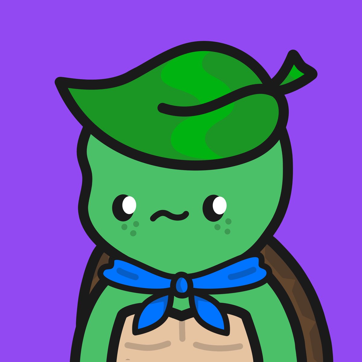 Turtle Town tweet media