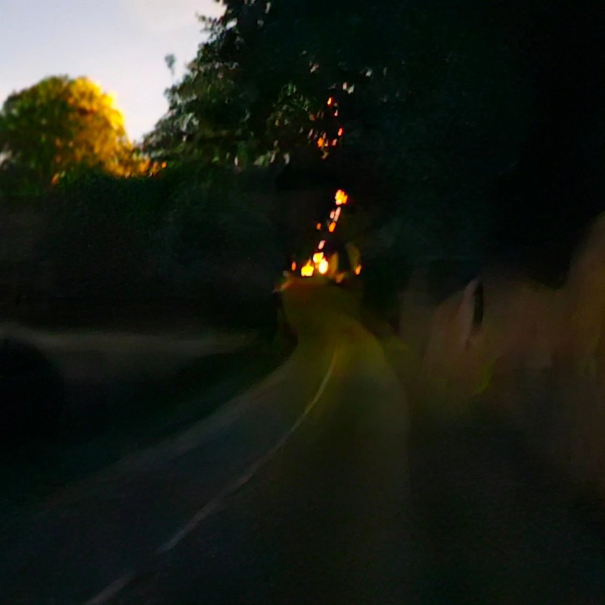 Breakingparauk's tweet photo. Photo 4 is a zoomed in photo of photo 3 of the monks footpath, looks like a child pearing round the wall to see what we was upto, there are no gaps in the wall so probably just pariedolia, what do you think ? 

#strelley #strelleyvillage #nottingham #monks #monksfootpath https://t.co/IS6wbHcLBu