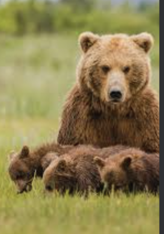 <a href="/mikemoore0057/">michaelm</a> The family unit is the building block of society.