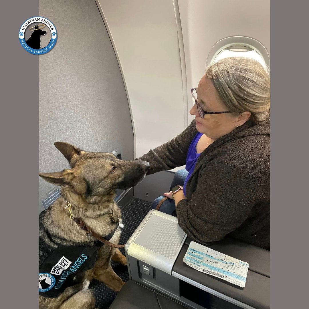 Recipient MaryEllen & her #ServiceDog, Larry, 🐕‍🦺 recently went on their 1st flight together!✈️🎊 She posted: 'Larry & I did great today with his first flight! Such a good boy! ❤️' yea!!🎉 Way to go you two💙🐾 #Love #GSD #ServiceDogs #NewNormal #DogTwitter #DogsofTwitter