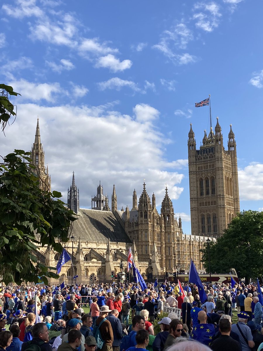 andrewhesselden's tweet image. #MarchForRejoin today