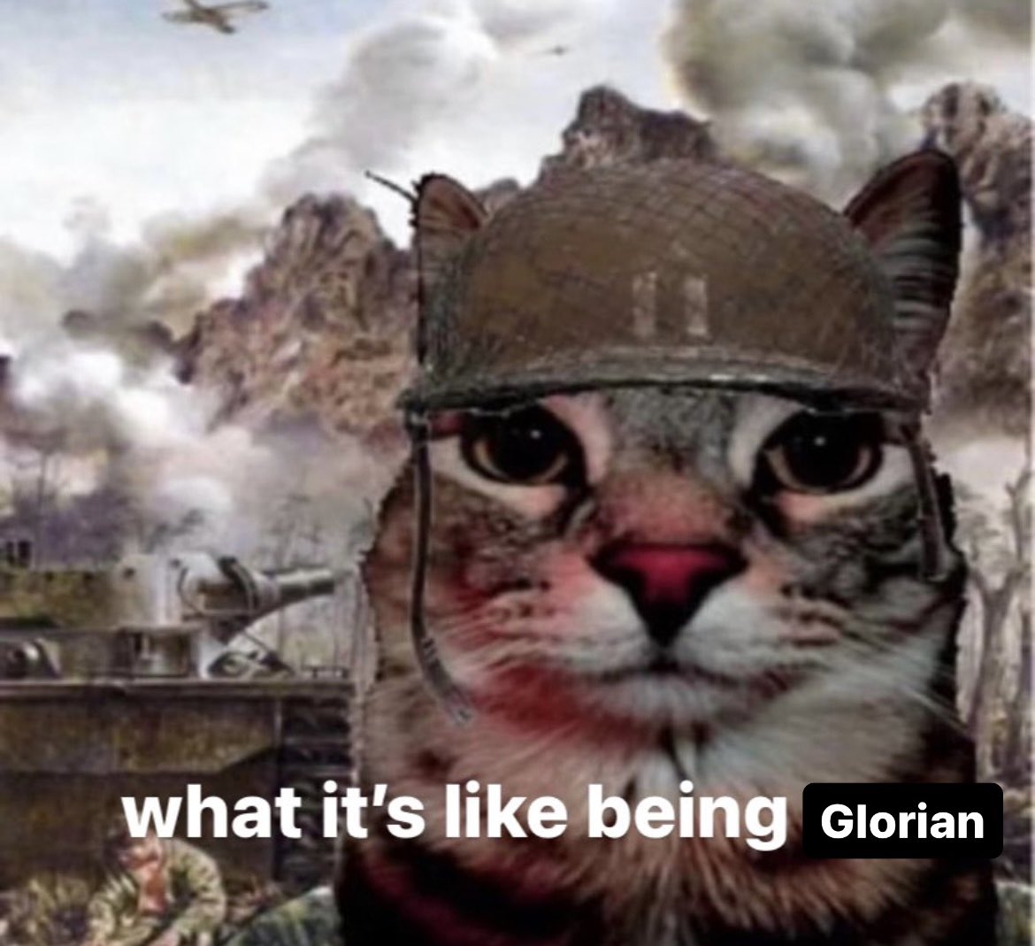 a_mimiriam's tweet photo. No one is doing it like Glorian Shieldheart!!!!! #ADOFN https://t.co/oqeYXtYRYq