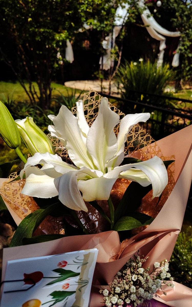 isalgolfe's tweet photo. Saturday 💗🌺💐🤍
#diadosfilhos https://t.co/J24cKWDpip