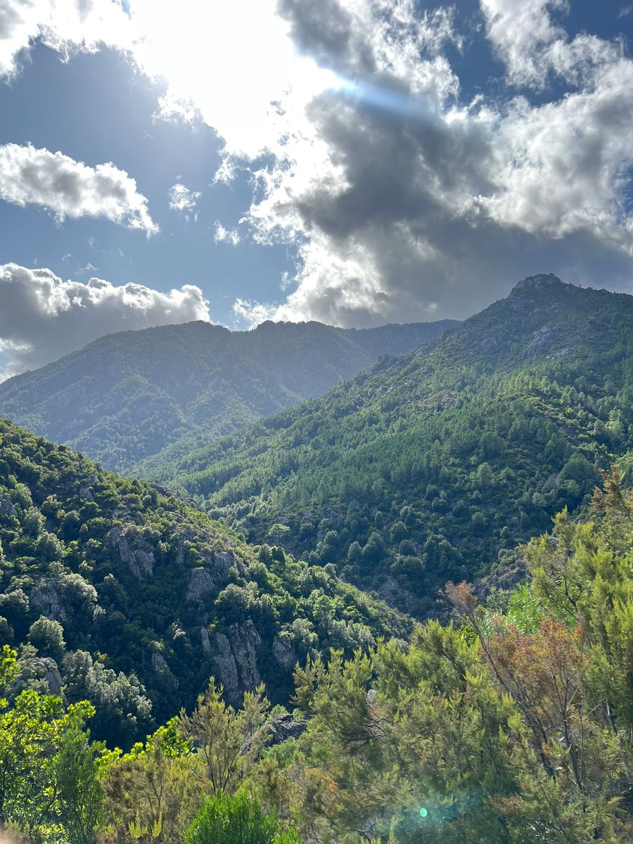 Valentin Berdah tweet media