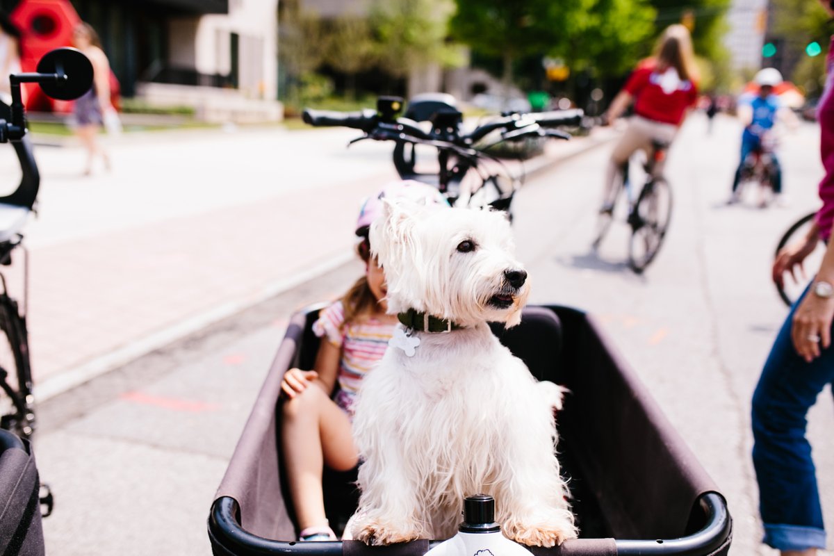 📣Atlanta Streets Alive helps us reimagine how we can get around more sustainably! It's a great chance to bike, walk, run, or take MARTA to show your support! How are YOU getting to Peachtree Street this Sunday?! <a href="/ATLDOT/">Atlanta Department of Transportation</a> #AtlantaStreetsAlive