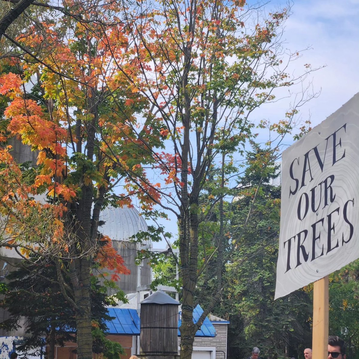 TimFitzMaguire's tweet photo. Save our trees @ontarioplace4all no private mega spa @thermecanada  #saveourtrees #cutthespa #ontarioplace #saveourbeach https://t.co/yTodvsuGD0
