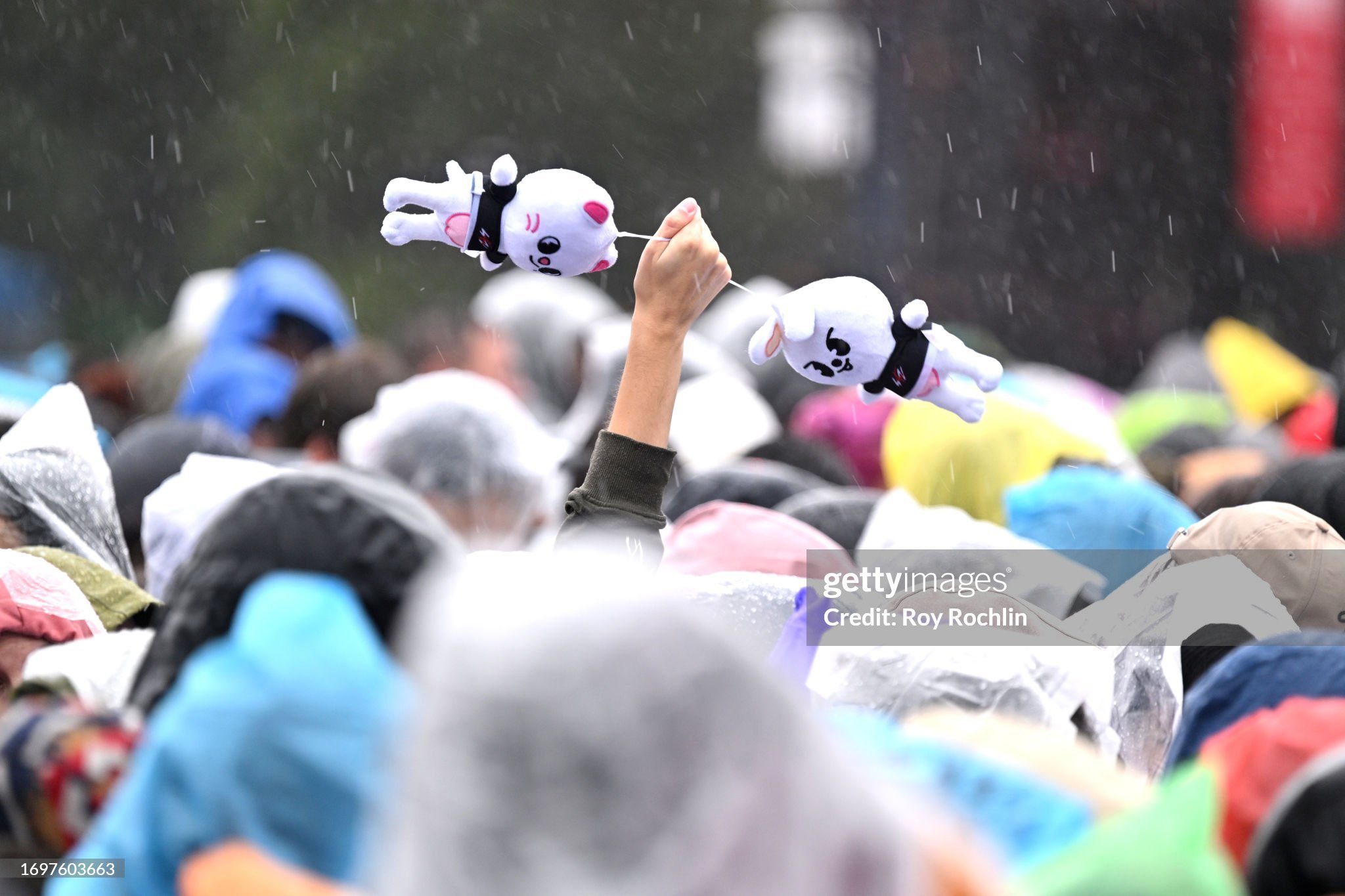 F6vfXrrawAEMHzr?format=jpg&name=large