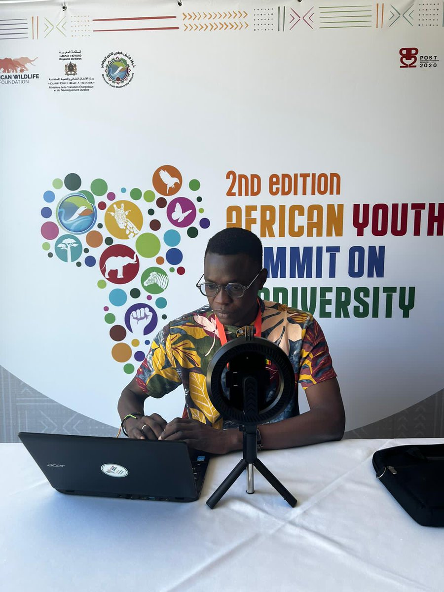 Alioune Badara GUEYE tweet media