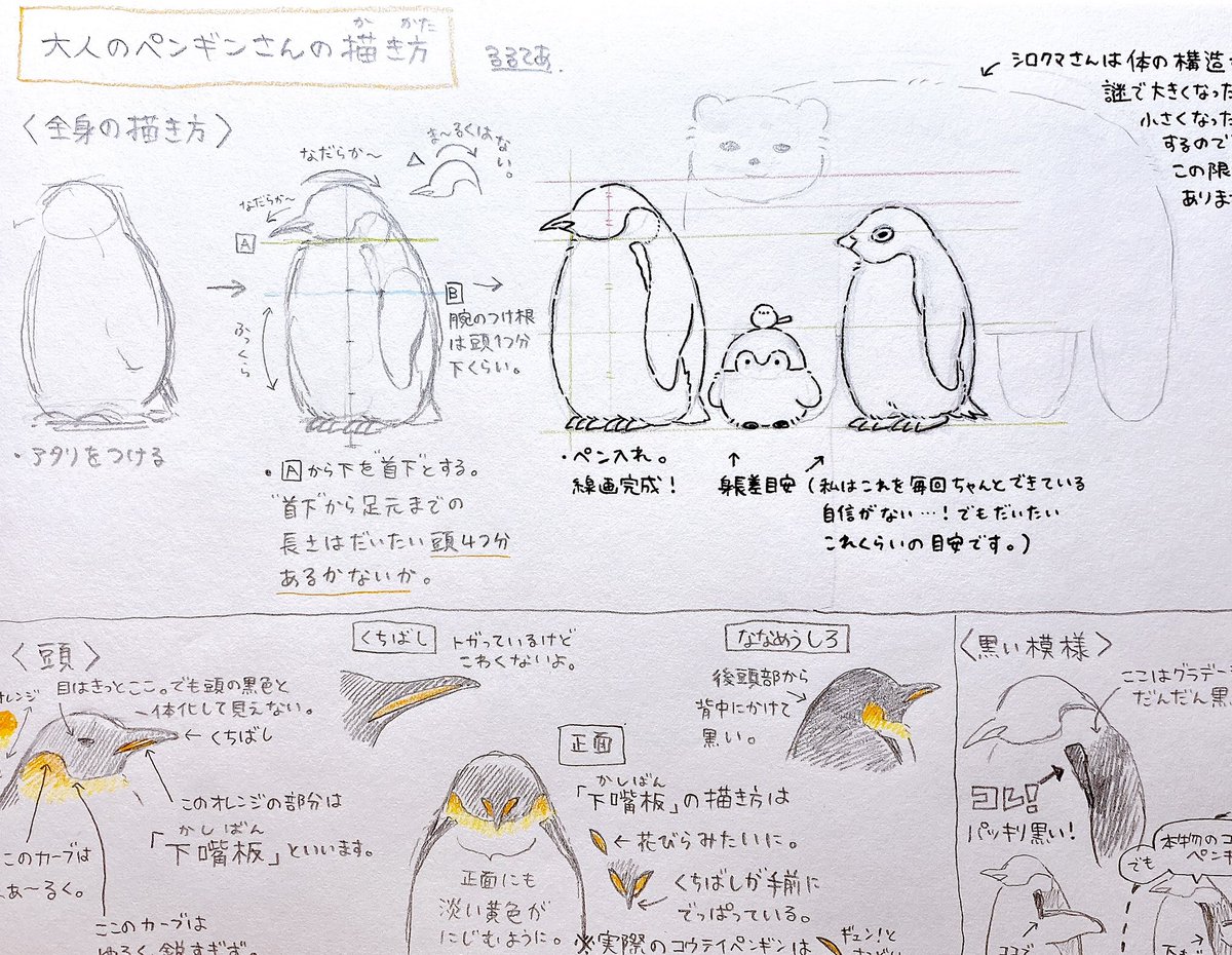 大人のペンギンさんの描き方 