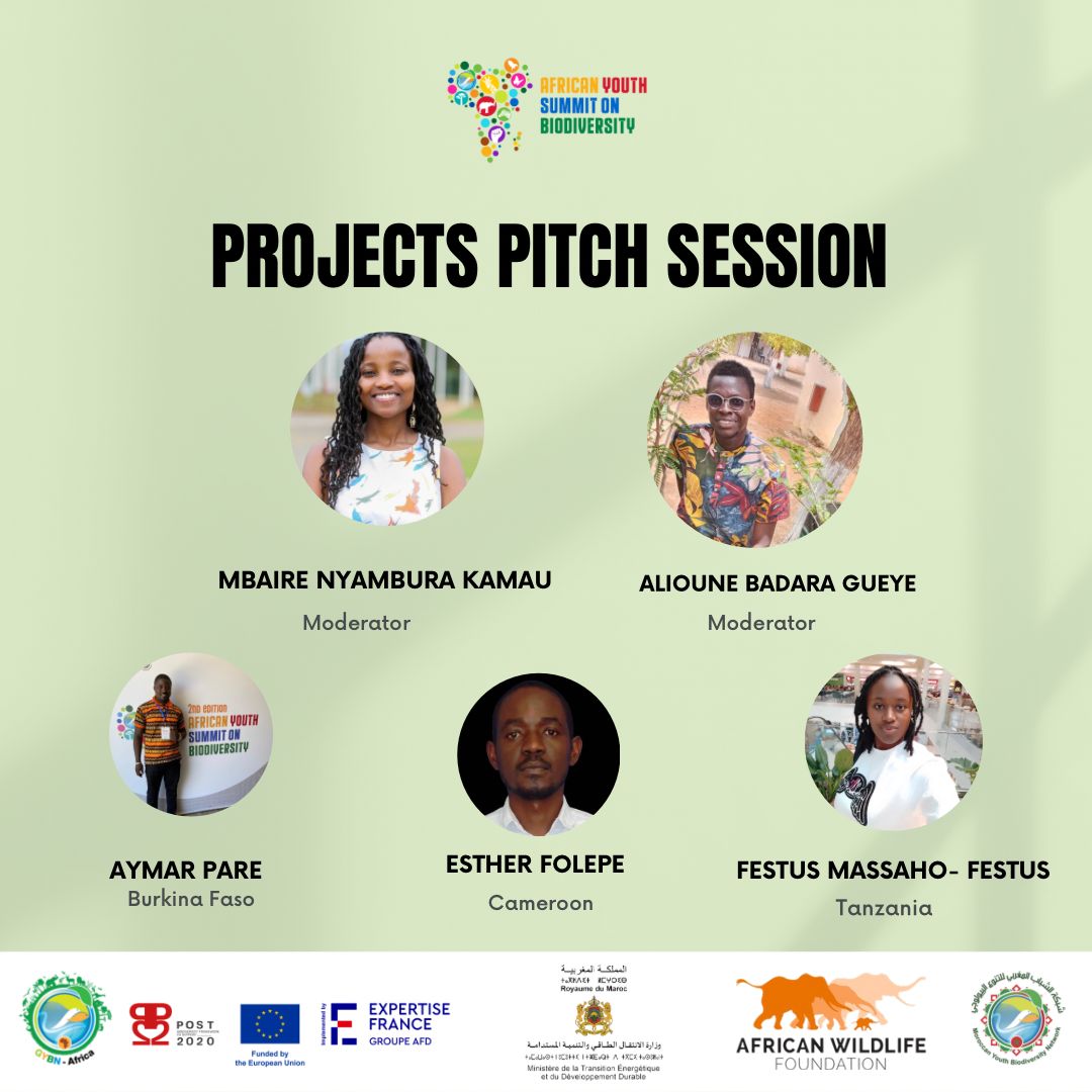 Alioune Badara GUEYE tweet media