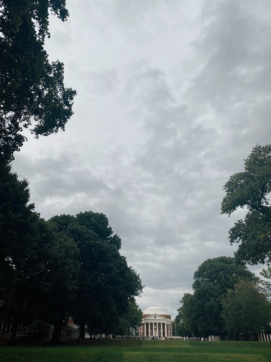 M S. V A L E N T I N E tweet media