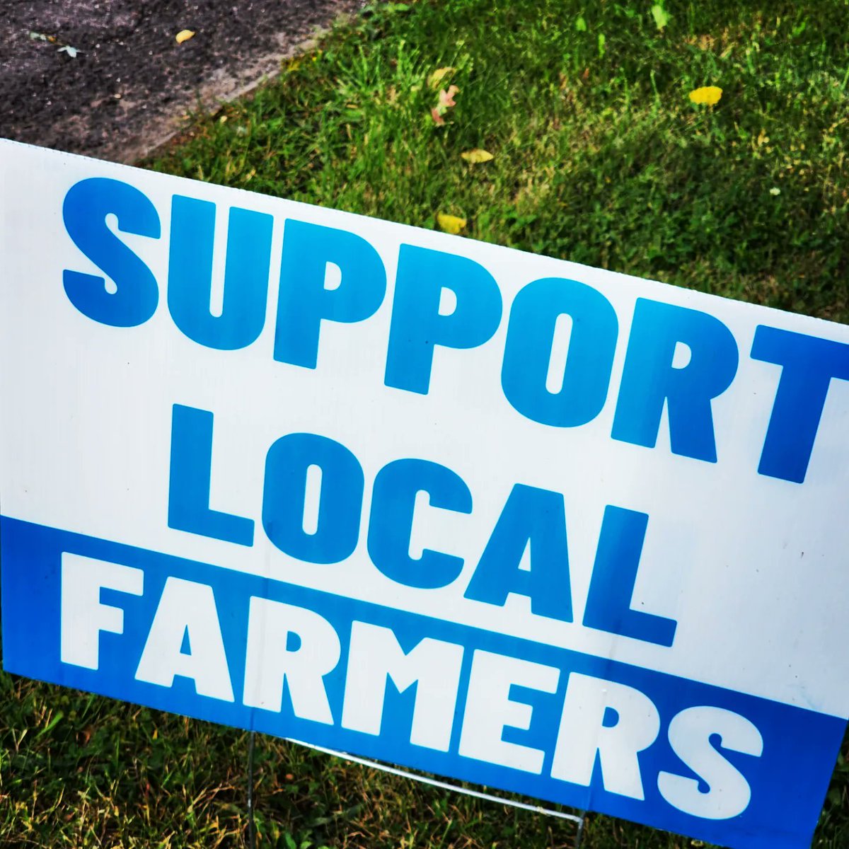 fatherhoodf1rst's tweet image. Apple picking day! 

#fatherhood #fatherhoodfirst #familytime #family #familyday 
#sangerfarms #sonship #motherhood #Apple #applepicking #grandmotherhood