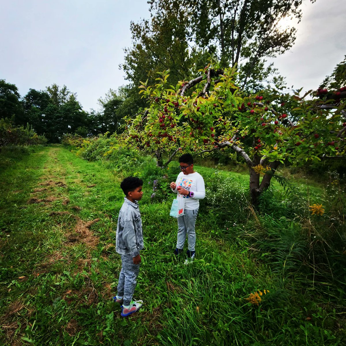 fatherhoodf1rst's tweet image. Apple picking day! 

#fatherhood #fatherhoodfirst #familytime #family #familyday 
#sangerfarms #sonship #motherhood #Apple #applepicking #grandmotherhood