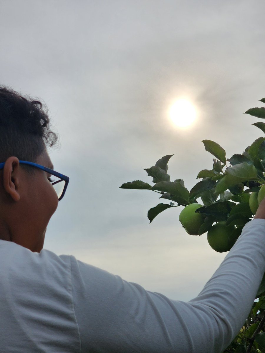 fatherhoodf1rst's tweet image. Apple picking day! 

#fatherhood #fatherhoodfirst #familytime #family #familyday 
#sangerfarms #sonship #motherhood #Apple #applepicking #grandmotherhood