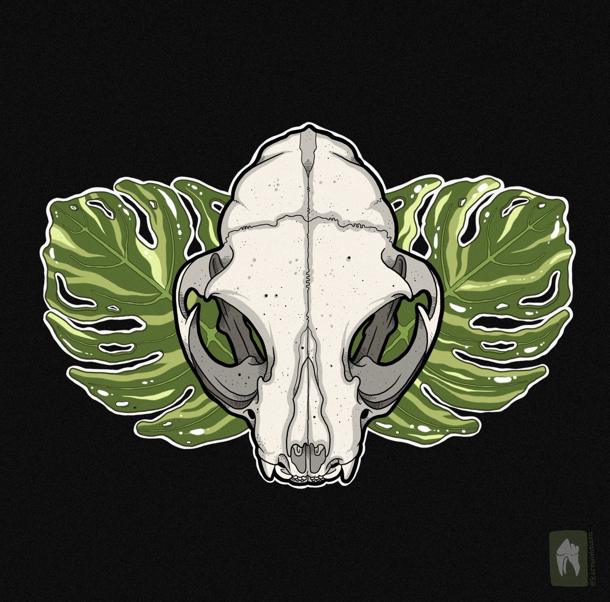 ✧ Monstera catus ✧

#catskull #skullart #art #skull #felineart #felines #artist